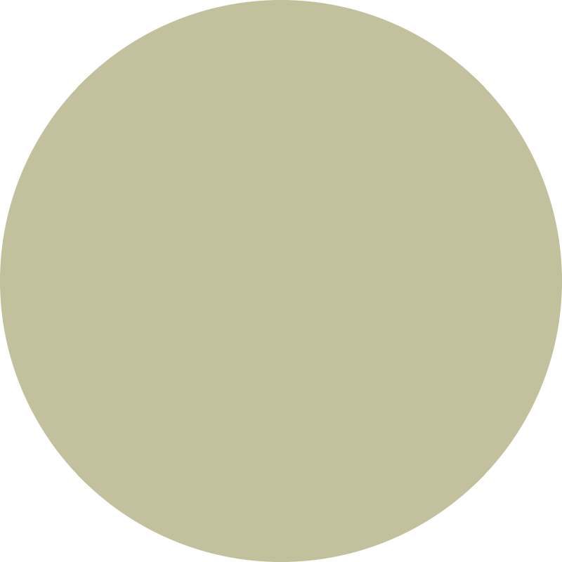 Flacone di gel colorante Raywell Direct Pigment nella tonalità Biondo Beige