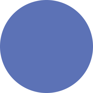 Direct pigment color gel 150ml blu