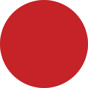 Direct pigment color gel 150ml rosso ciliegia
