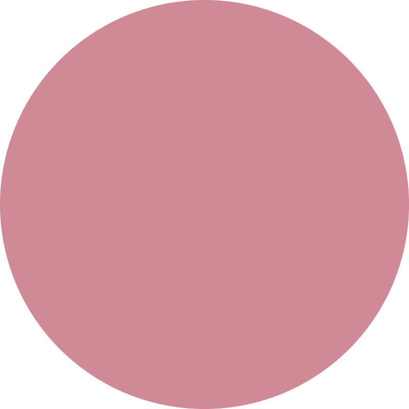 Gel colorante Direct Pigment Raywell in tonalità rosa, flacone da 150ml