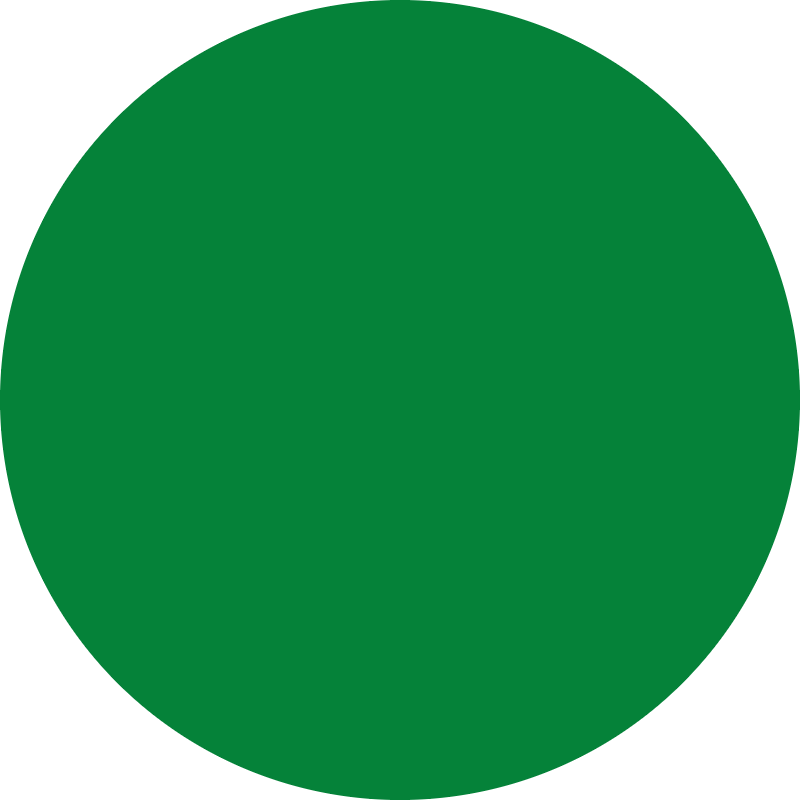 raywell raywell direct pigment color gel 150ml verde - foto 2 raywell raywell direct pigment color gel 150ml verde - foto 2