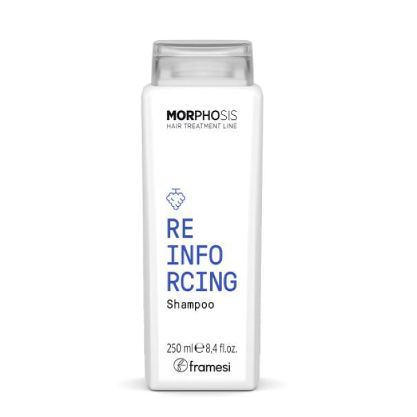 framesi framesi morphosis reinforcing shampoo 250ml - foto 1